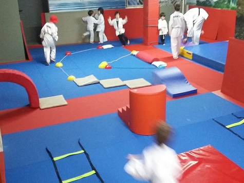 judo f2